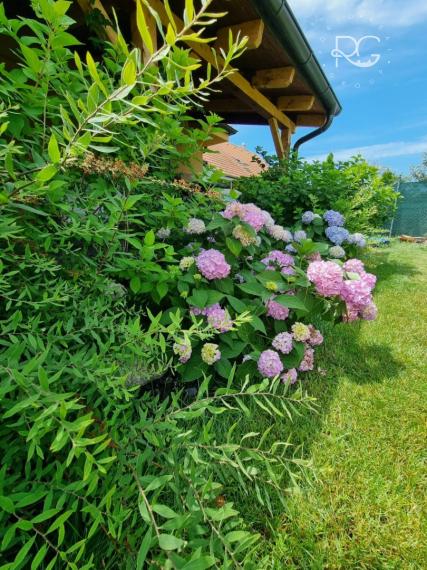 =PREDANÉ= Pekný RD s nádhernou záhradou a priestranným pozemkom vo Hviezdoslavove