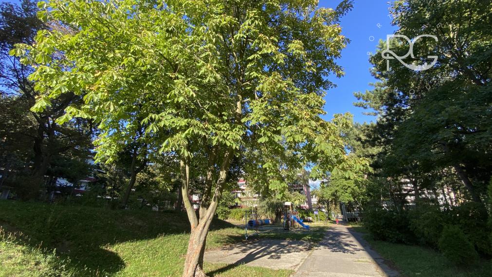 =PREDANÉ=4izb byt s priestrannou loggiou v krásnom prostredí plnom zelene vhodný na rekonštrukciu na Púpavovej ulici