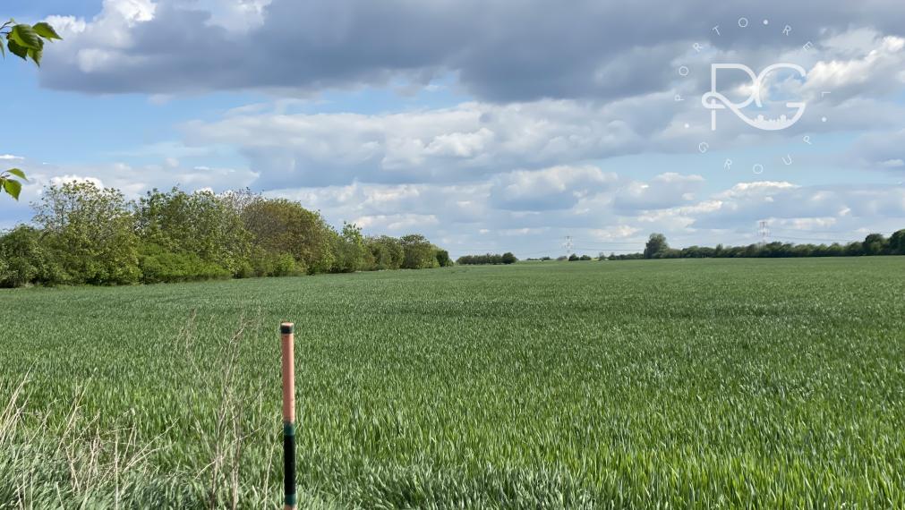 Pozemky v krásnom prostredí v Chorvátskom Grobe za priaznivú cenu vhodné aj investične-možné kúpiť aj jednotlivo