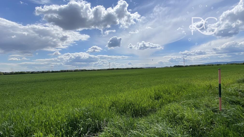 Pozemky v krásnom prostredí v Chorvátskom Grobe za priaznivú cenu vhodné aj investične-možné kúpiť aj jednotlivo