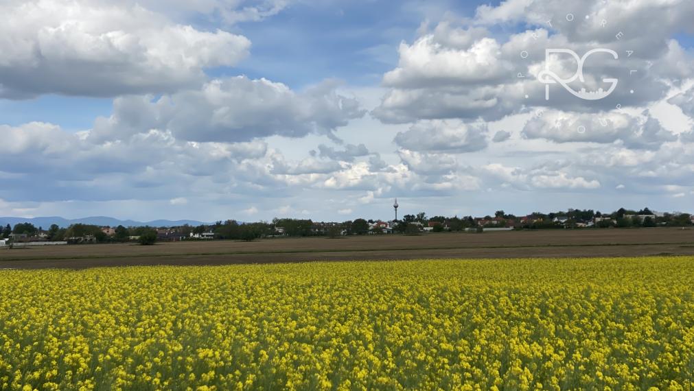 Pozemky v krásnom prostredí v Bernolákove za priaznivú cenu vhodné aj investične-možné kúpiť aj jednotlivo