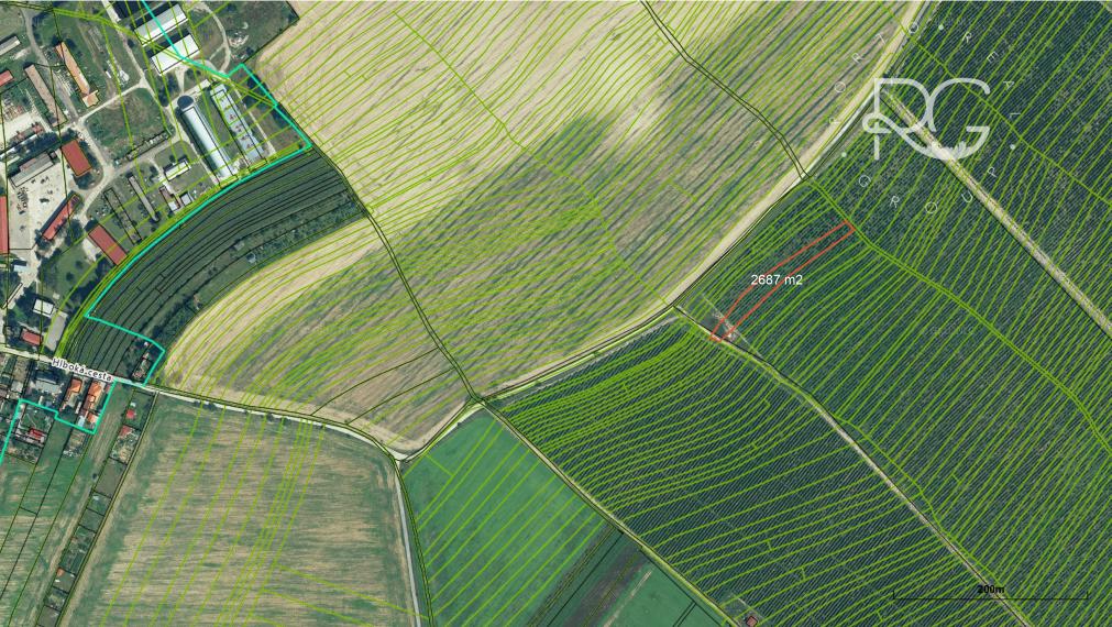 Pozemky v krásnom prostredí v Bernolákove za priaznivú cenu vhodné aj investične-možné kúpiť aj jednotlivo