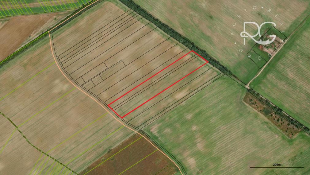 Pozemky vo Veľkom Bieli za priaznivú cenu vhodné aj investične