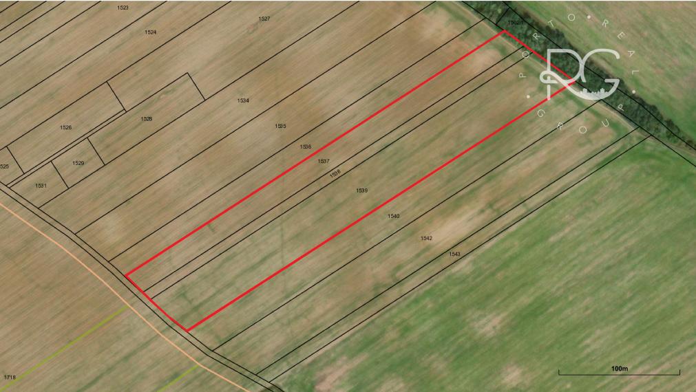 Pozemky vo Veľkom Bieli za priaznivú cenu vhodné aj investične