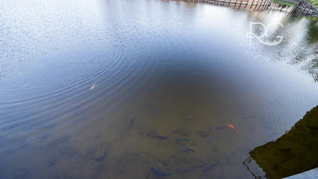 =PREDANÉ=3izb Rekreačný dom v nádhernom prostredí Penati Golf Resort s možnosťou odpočtu DPH