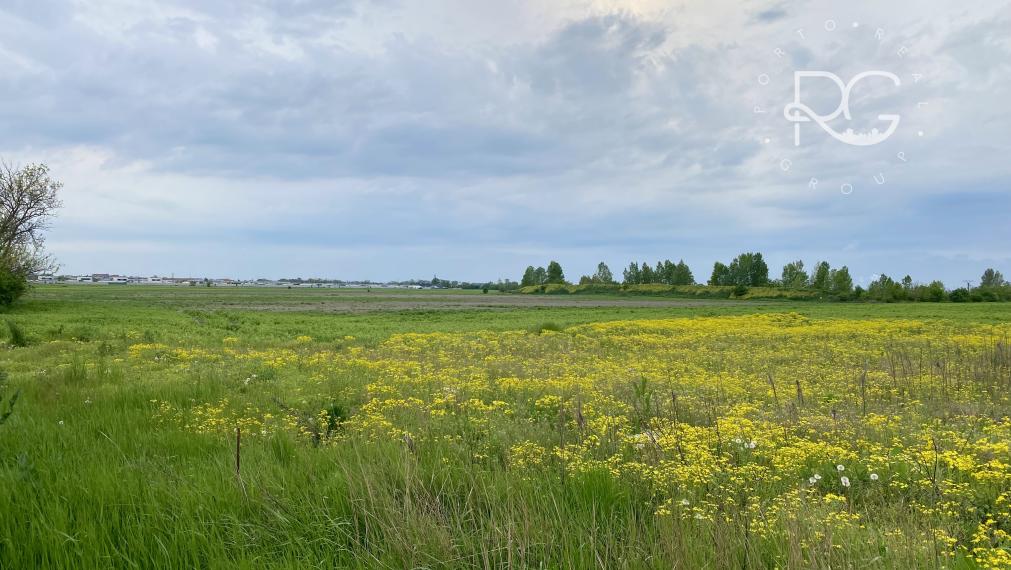 Pozemok v krásnom prostredí na Nových Košariskách vhodný aj ako investícia