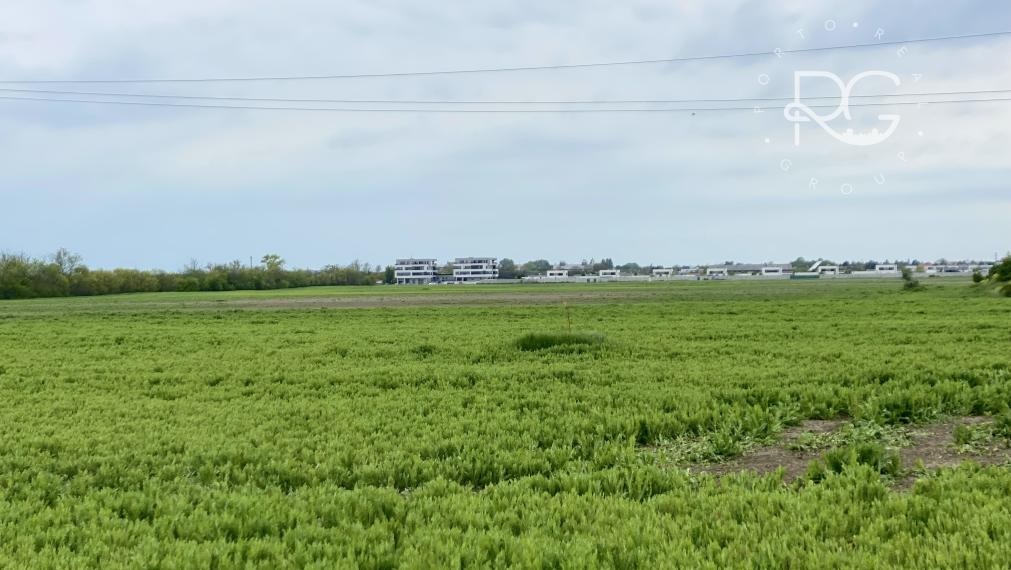 Pozemok v krásnom prostredí na Nových Košariskách vhodný aj ako investícia