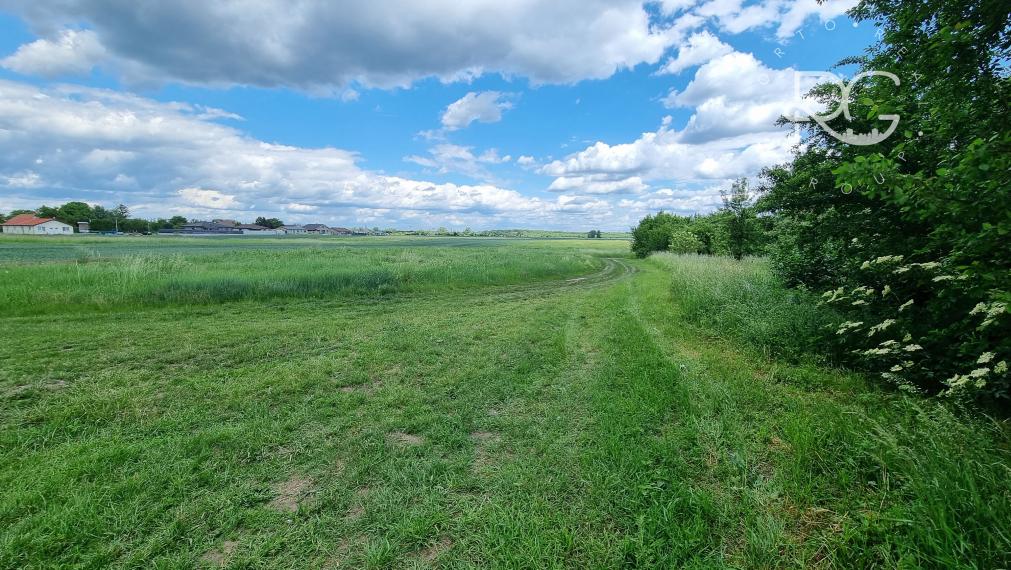 Lukratívny  pozemok v obci Záhorská Ves VIDEOOBHLIADKA