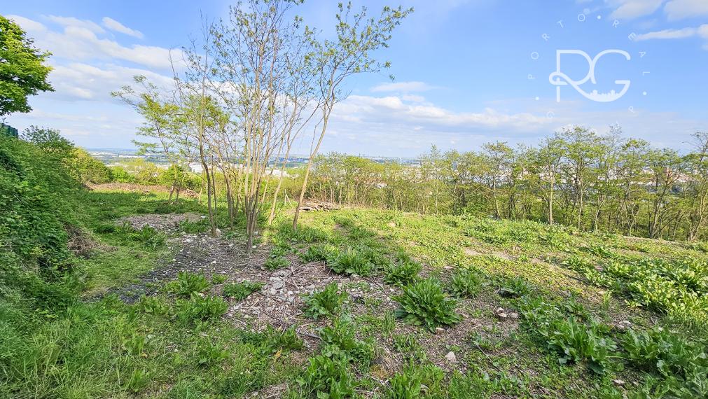 Lukratívny investičný pozemok Bratislava III – Vinohrady