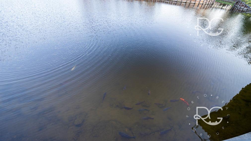 3izb Rekreačný dom v nádhernom prostredí s možnosťou dokončenia do štandardu