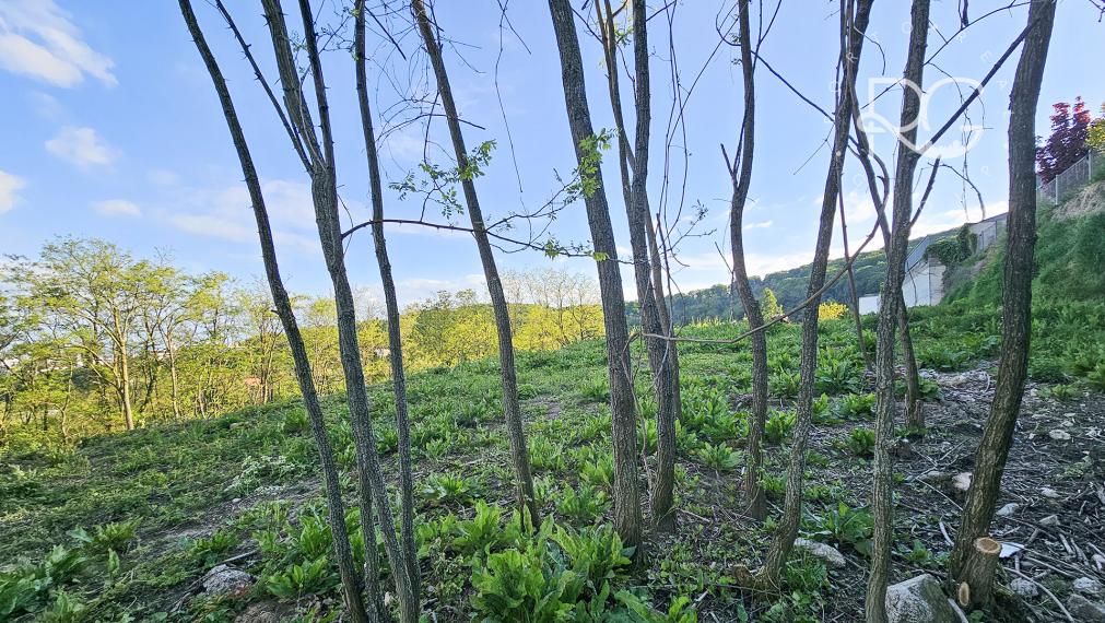 Lukratívny investičný pozemok Bratislava III – Vinohrady