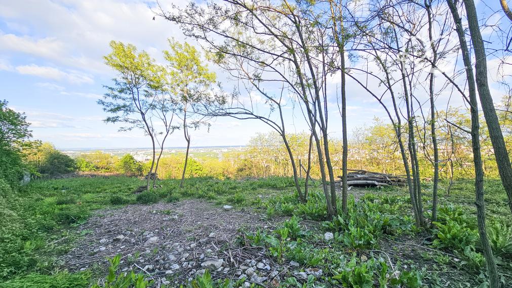 Lukratívny investičný pozemok Bratislava III – Vinohrady