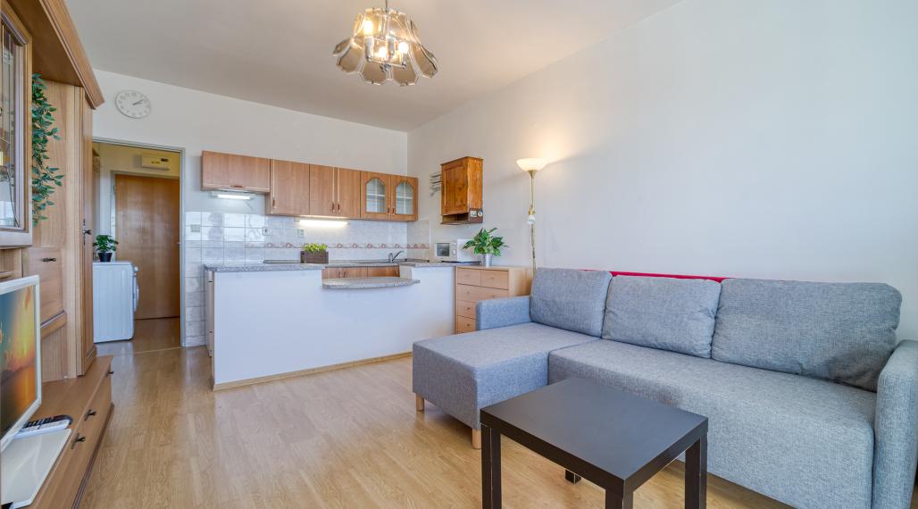 =PREDANÉ= Slnečná garsónka s loggiou v Bratislave – Petržalka, VIDOOBHLIADKA