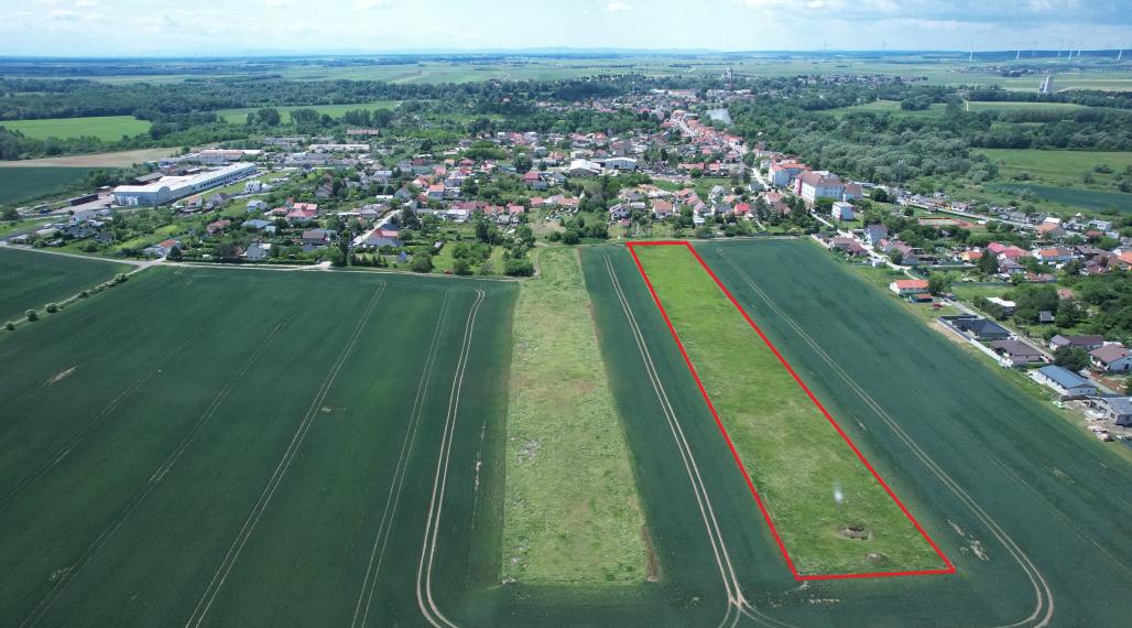 Lukratívny  pozemok v obci Záhorská Ves VIDEOOBHLIADKA