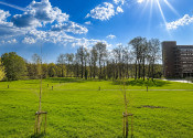 MODERNÝ NEBYTOVÝ PRIESTOR 93 m² + 3 PARKOVACIE MIESTA | ANTOLSKÁ, PETRŽALKA - fotografia 5