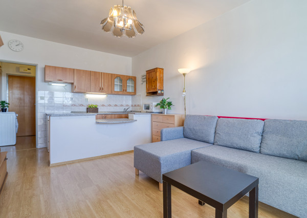 =PREDANÉ= Slnečná garsónka s loggiou v Bratislave – Petržalka, VIDOOBHLIADKA