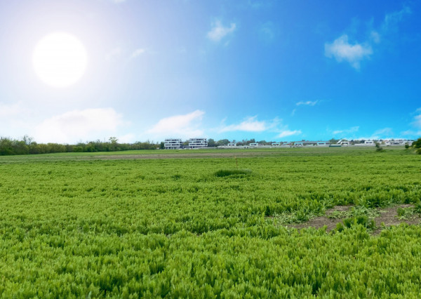 Pozemok v krásnom prostredí na Nových Košariskách vhodný aj ako investícia