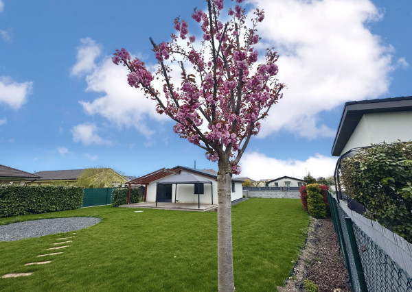 Moderný zariadený 4izb bungalov na 7árovom pozemku 20 min.od BA