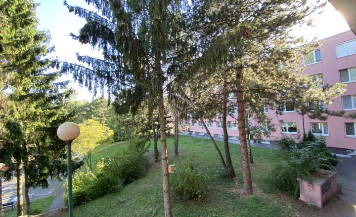 =PREDANÉ=4izb byt s priestrannou loggiou v krásnom prostredí plnom zelene vhodný na rekonštrukciu na Púpavovej ulici - fotografia 6