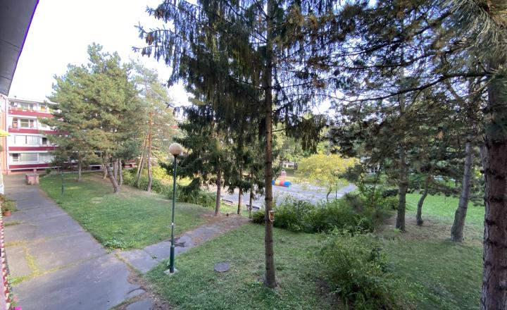 =PREDANÉ=4izb byt s priestrannou loggiou v krásnom prostredí plnom zelene vhodný na rekonštrukciu na Púpavovej ulici - fotografia 9