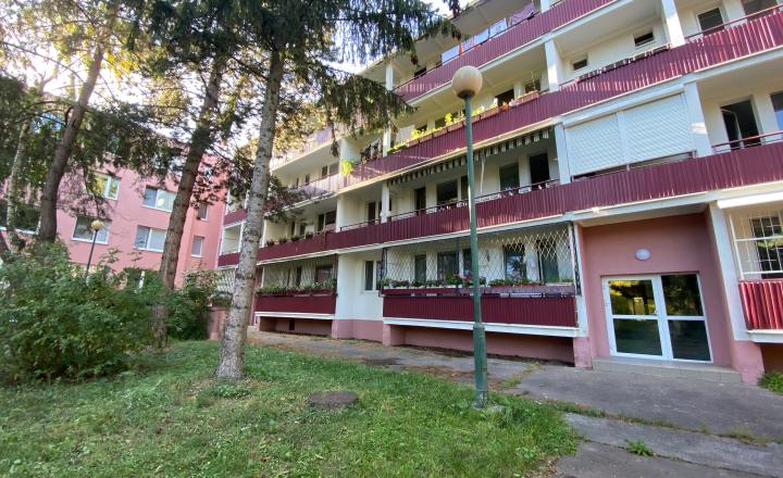 =PREDANÉ=4izb byt s priestrannou loggiou v krásnom prostredí plnom zelene vhodný na rekonštrukciu na Púpavovej ulici - fotografia 14