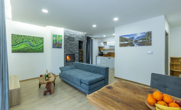 Investičný apartmánový dom v obci Bystrá s vlastným wellness - fotografia 4