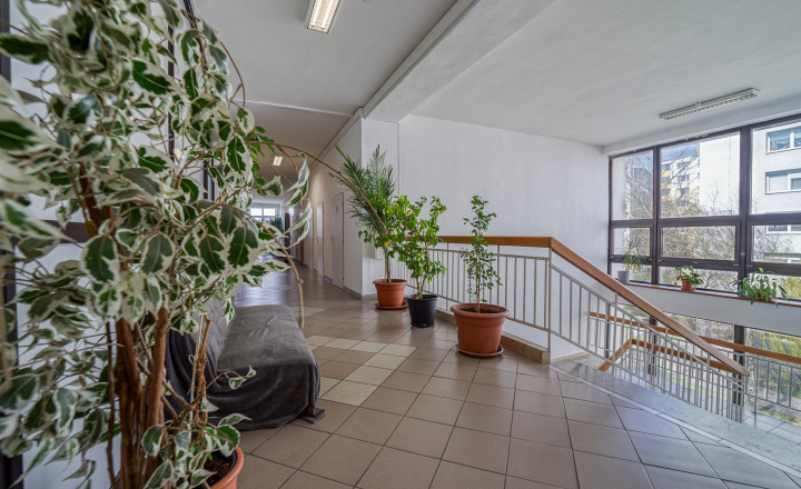Na prenájom kancelária 19,60 m2 Wolkrova, Bratislava V – Petržalka - fotografia 4