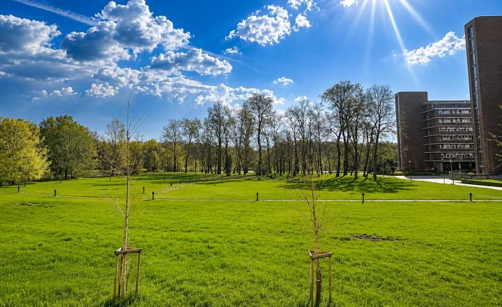 MODERNÝ NEBYTOVÝ PRIESTOR 93 m² + 3 PARKOVACIE MIESTA | ANTOLSKÁ, PETRŽALKA - fotografia 4