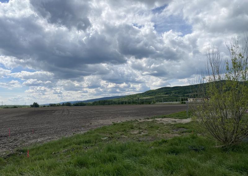 Pozemok v peknom prostredí vo Svätom Jure na predaj - fotografia 1