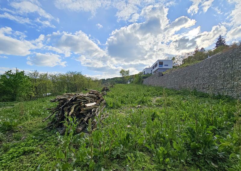 Lukratívny investičný pozemok Bratislava III – Vinohrady - fotografia 2